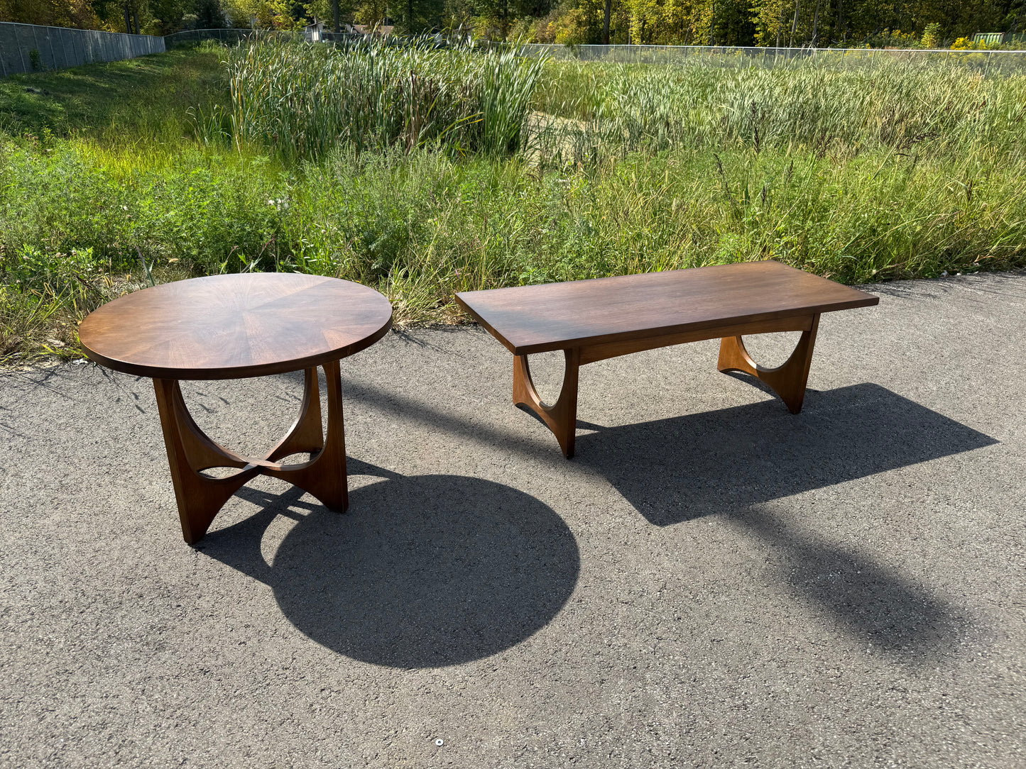 Broyhill Brasilia Coffee Table & Round End Table