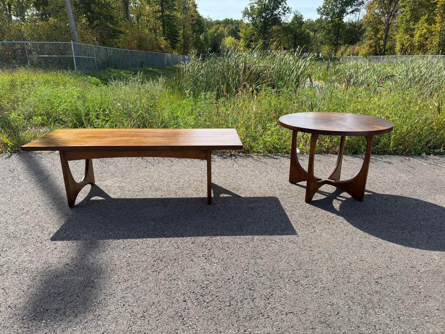 Broyhill Brasilia Coffee Table & Round End Table