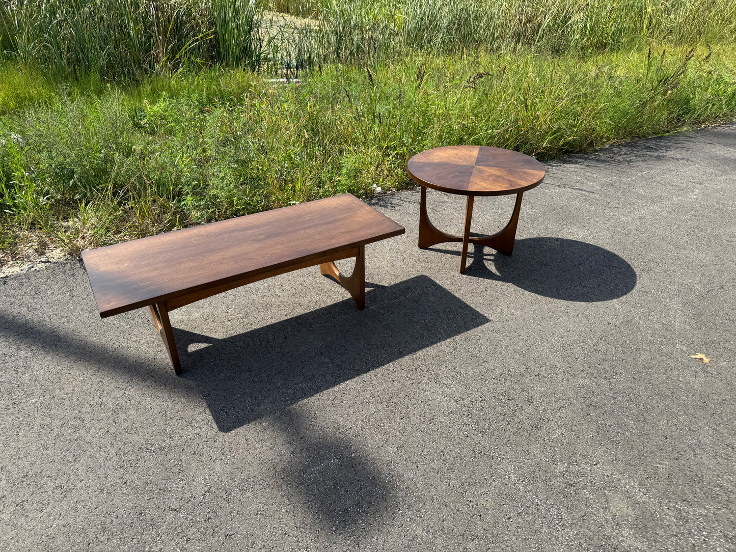 Broyhill Brasilia Coffee Table & Round End Table