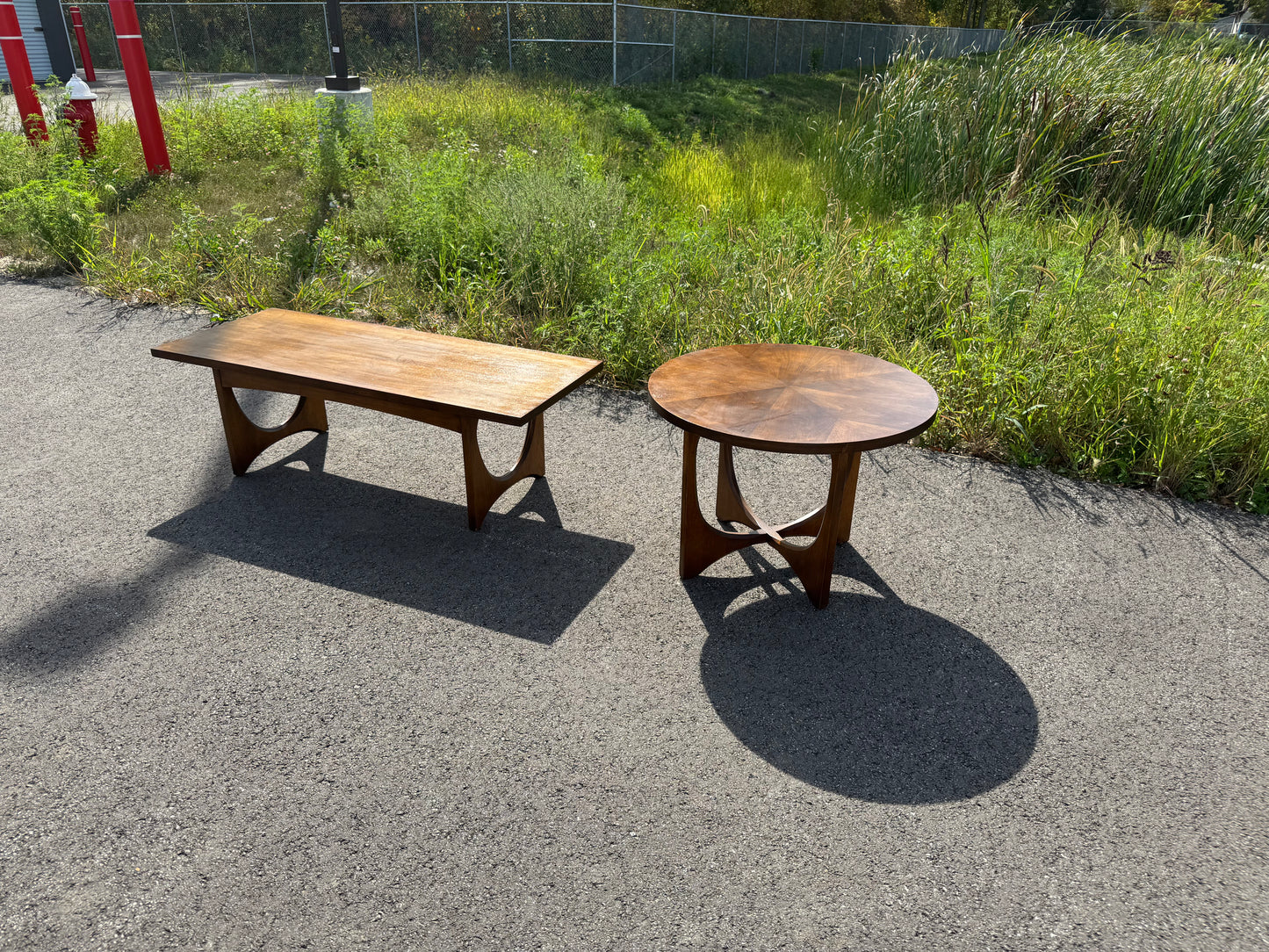 Broyhill Brasilia Coffee Table & Round End Table
