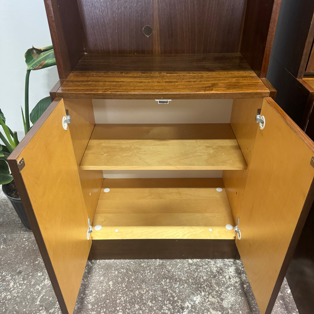 Van Pelt Danish Teak Wall Unit