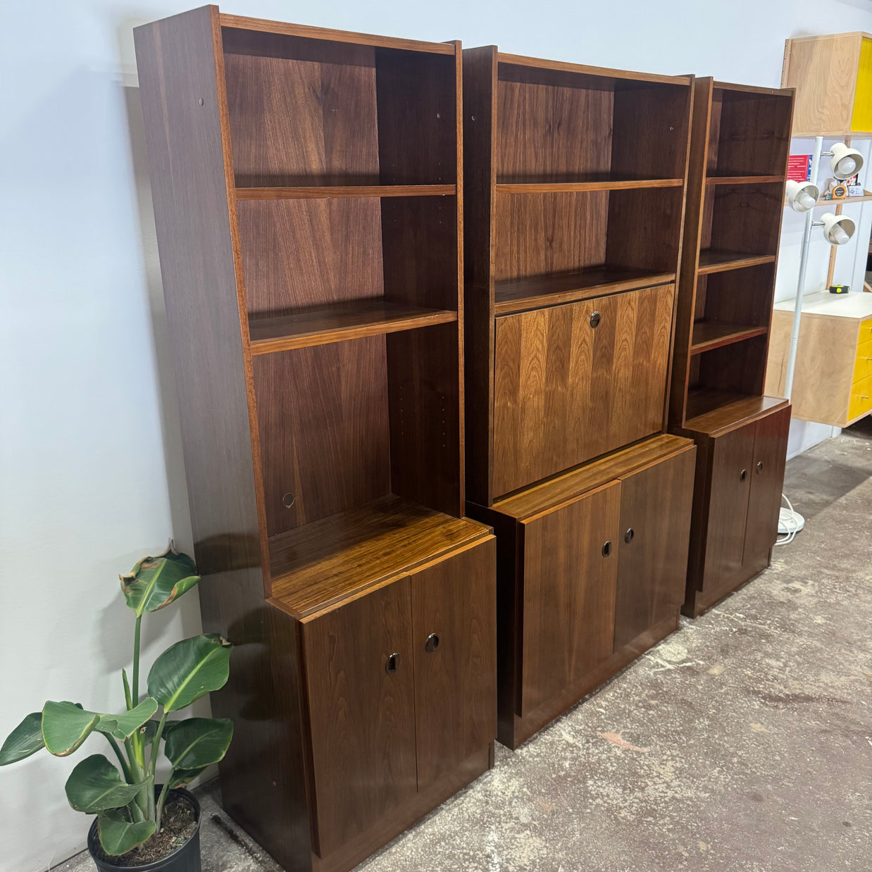Van Pelt Danish Teak Wall Unit