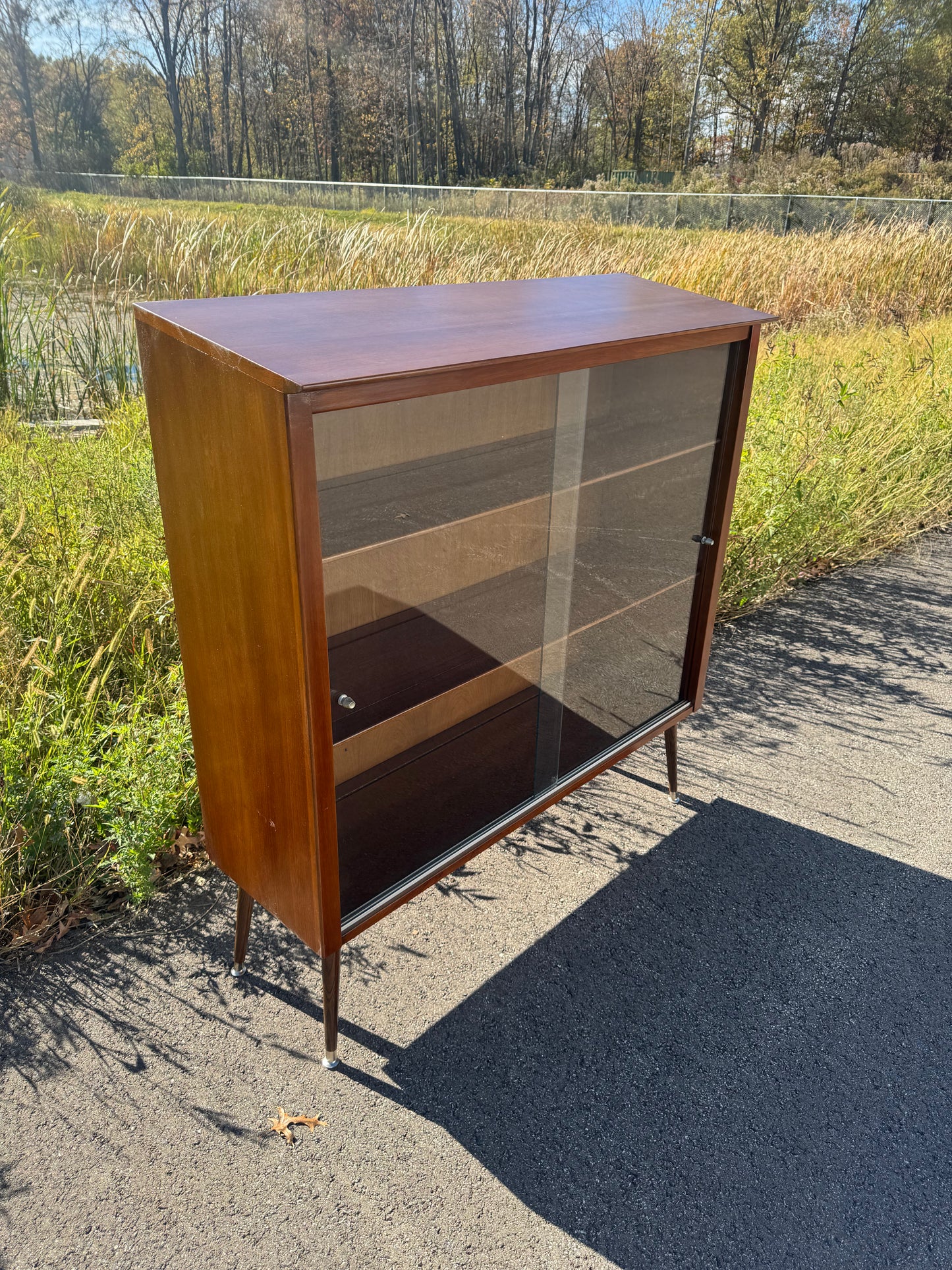 Midcentury Bookcase with Shelves